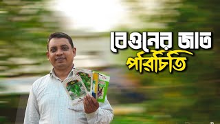 বেগুনের জাত পরিচিতি - Agriculture Idea