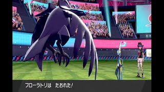 伝説捕まえます#13   【ポケモン剣盾】概要欄必読