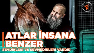 Atlara Fısıldayan Adam Janbi | Atlar İnsana Ne Öğretir?