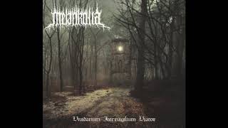 Melankolia - Vividarium Intervigilium Viator (Full-Length: 2020) Hypnotic Dirge Records