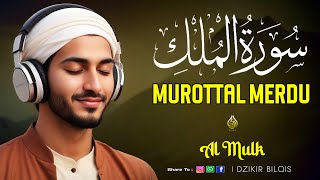 Ngaji Merdu Surah Al Mulk آل الملك ,  Penenang Hati Jiwa & Fikiran, Qari` Alaa Aqel