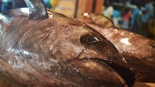 Negombo Fish Market | Best Sea Food Sri Lanka | Negombo Culture