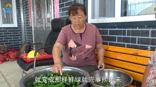 牛二條 895 园子辣椒太多吃不完 二条妈切上一盆这样做 配方比列全告诉你！