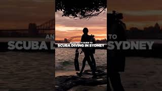 The Best Scuba Diving in Sydney #shorts | DNSW Underwater Guide