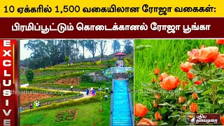 #Exclusive | 1,500 Varieties of Roses in 10 Acres: Stunning Kodaikanal Rose Park | PTT