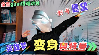 【新年愿望】和我一起变身奥特曼，实现英雄梦想|玩具|模型|开箱|#玩具 #toys