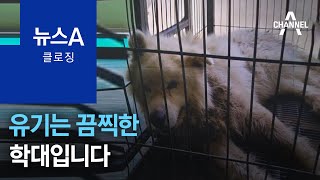 [뉴스A 클로징]유기는 끔찍한 학대입니다 | 뉴스A