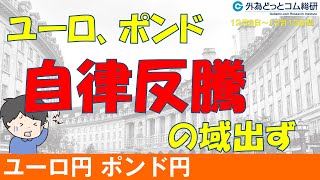 週刊為替レポートハロンズ・ダイジェスト（ユーロ/円、ポンド/円）-12月9日～12月13日週