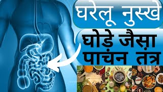 पाचन तंत्र मजबूत करने के घरेलू नुस्खे | Improve Digestion System | Bhartiya Fitness