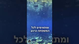 30 ⏰ שניות על מעין עין נון