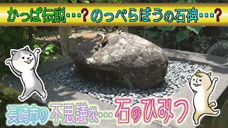 ひみつウォーク＃7　どんく石＆休み方がわからない休石 【NCCトコハピ】