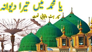 New Naat Sharif 2021 | New Rabi-ul-awal Naat 2021 | islamic Naat | Punjabi naat|Urdu Naat Sharif |
