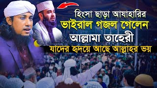 হিংসা ছাড়া আযাহারির ভাইরাল গজল গেলেন আল্লামা তাহেরী যাদের হৃদয়ে আছে আল্লাহর ভয় || azhari vs taheri