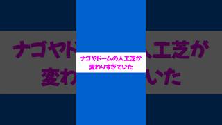 【野球観戦】改めてナゴヤドームの人工芝が変わりすぎていた...