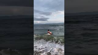 Woman Attempts to Rescue an Inflated Puffer Fish