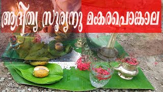 Makara Pongal ( മകര പൊങ്കൽ  )