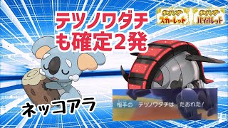 【ポケモンSV対戦実況⑧】パラドックスポケモンだってコアラで楽に処理します❗️