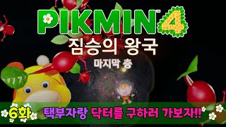 피크민 닥터를 구하러 가보자!! [피크민4]