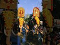 kodimoottil pooram vibes parippally youtube youtubeshorts kollam elephant elephantlife