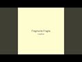 Fragments Fragile