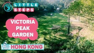 BEST Hong Kong Skyline View At Secret Park At Peak