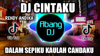 DJ CINTAKU RENDY ANDIKA REMIX VIRAL TIKTOK TERBARU 2022 DALAM SEPIKU KAULAH CANDAKU
