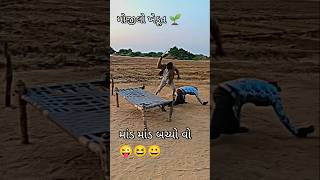 માંડ માંડ બચ્યો 😜 ગુજરાતી કોમેડી ફની વીડિયો #funny #ખેડૂત_મિત્રો #ખેતી