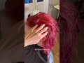 записаться на мои процедуры в Питере можно через директ Инстаграм @alina.hairr