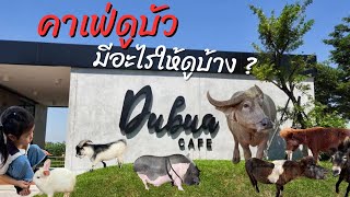 ดูบัวคาเฟ่ ฟาร์ม มีอะไรให้ดูบ้าง ? | Dubua Cafe Farm คาเฟ่นครปฐม ที่เที่ยวใกล้กรุงเทพ