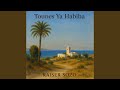 Habibi Tounes Forever