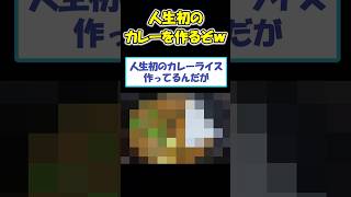 【2ch面白いスレ】人生初のカレーを作った結果…【飯テロ】#2ch #ゆっくり解説 #shorts