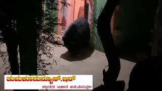 ಮಧುಗಿರಿ; ಬೆಡತ್ತೂರು ಗ್ರಾಮದ ದೇವಾಲಯದಲ್ಲಿ ಕರಡಿ ಪ್ರತ್ಯಕ್ಷ!⛔ ಸುದ್ದಿಗಾಗಿ ಇಲ್ಲಿ‌ ಕ್ಲಿಕ್ ಮಾಡಿ ➡✅