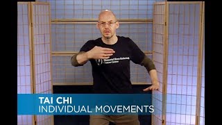 Tai Chi Individual Movements + Exercises