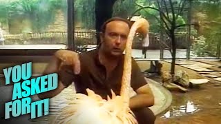 The Bird Whisperer of San Antonio Zoo | You Asked For It