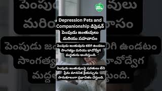 Depression Pets and Companionship డిప్రెషన్ పెంపుడు జంతువులు మరియు సహవాసం