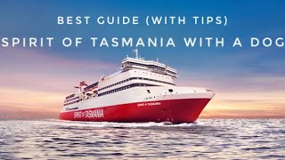 Spirit of Tasmania (with a dog) | check-in, quarantine, ship tour and some tips #spiritoftasmania