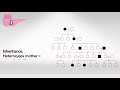 autosomal dominant inheritance in human genetics