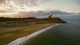 Ripple effect: Cornell helps restore Long Island’s shellfish