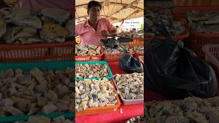 Kasimedu - Dried Fish Stall