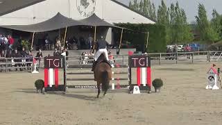 Kalou du Bourbecq (by Balou du Rouet) 7yo double clearround at belgian cycle young horses 2023