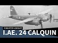 The I.Ae. 24 Calquin; Argentina’s Derated Mosquito