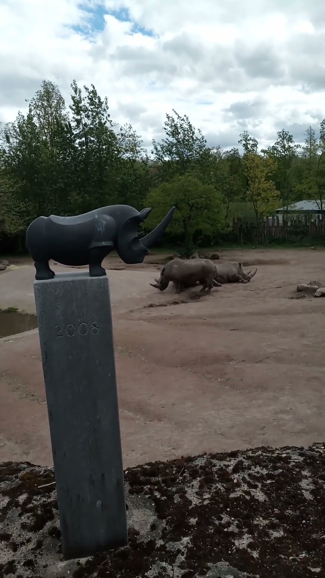 Rhino Youtube