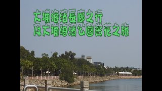 [香港觀光篇]#06 大埔海濱公園及海濱長廊-看特色植物及釣魚好去處