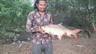 Hyderabadi Singh shekar/Big rahu fish 10kg #aleem69 #fishing