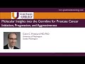 Molecular Insights into the Germline for Prostate Cancer Initiation, Progression, and Aggressiveness