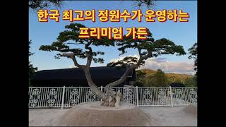 한국 토종 소나무 판매 / 국내 가장 훌륭한 특수목을 만나볼 수 있는 서울 서초구 청계산 \