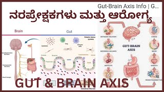 # Neurotransmeters \u0026 there functions gut brain axis in kannada  ನರಪ್ರೇಕ್ಷಕಗಳು  ಮತ್ತು ಸಂಪೂರ್ಣ  ಆರೋಗ್ಯ