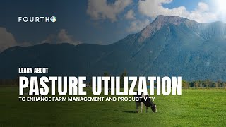 FourthQ pasture utilization