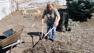 How to Keep Your Fruit Trees Small by Planting More Than One in the Same Hole and With the First Cut