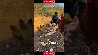 Living peacefully as a chicken farmer in a village